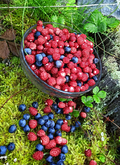 Ягодное настроение