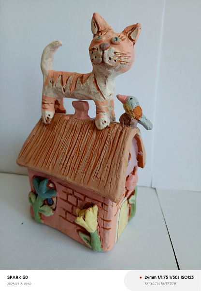 Кот на крыше