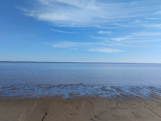 "Камское водохранилище, берег, лес, г. Чермоз"