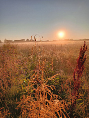 "Невесомость"