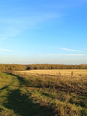 Осенние зарисовки