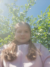 Поле, цветы, закат