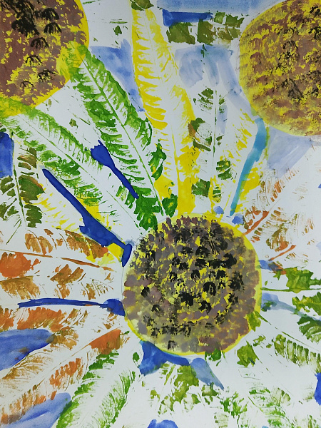 Подсолнухи