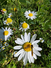 "Вот оно какое наше лето"