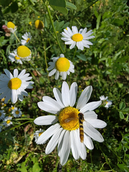 "Вот оно какое наше лето"
