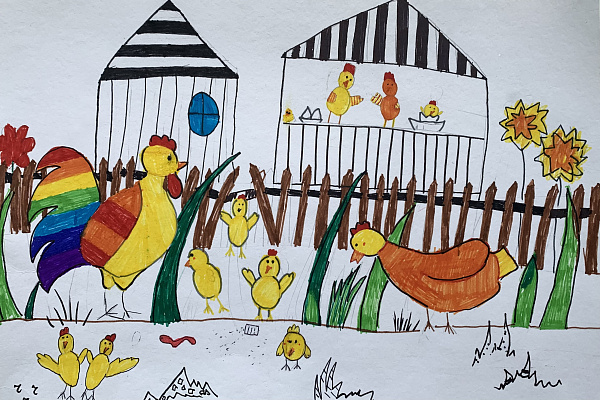 Куринный переполох 