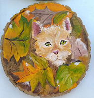 Кот