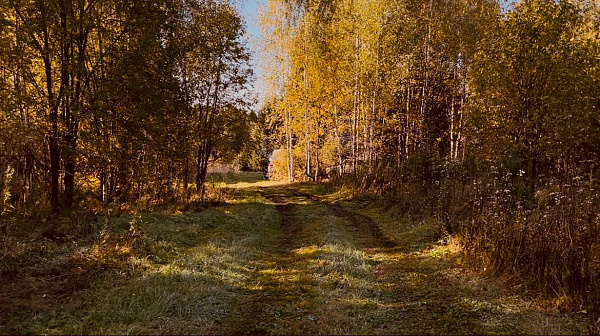 "Наедине с природой"