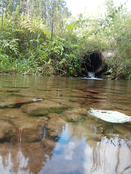 "Секретный родник"