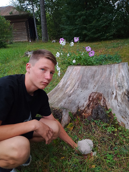 "Подберёзовик у школьного пенька"