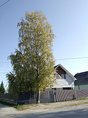 "Прекрасный город Усолье"