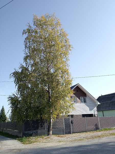 "Прекрасный город Усолье"