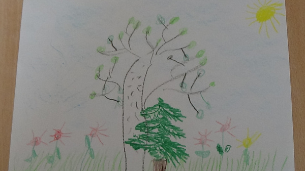 Вишерское лето