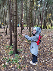 "Красота природы"