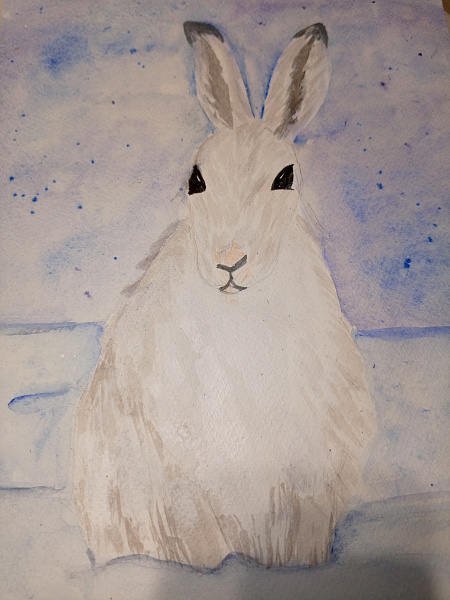 Зайчик на снежной поляне