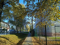 "Снова в школу"