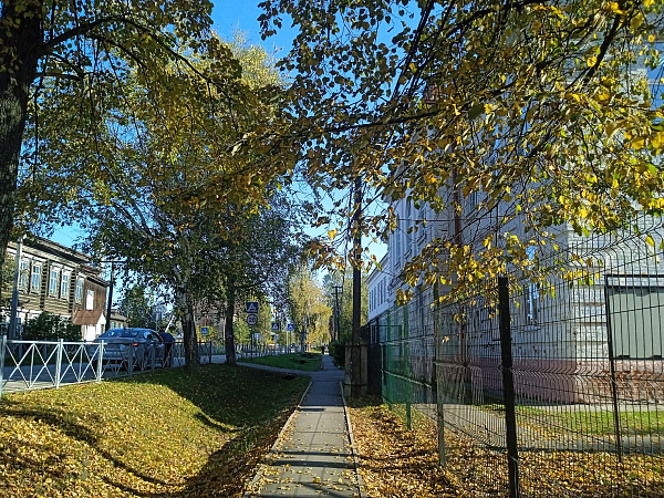 "Снова в школу"