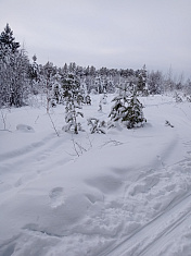 "Зимняя Парма"