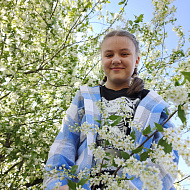 "О Коми крае"