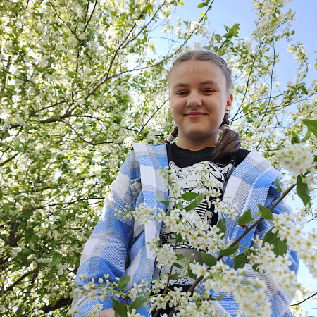 "О Коми крае"