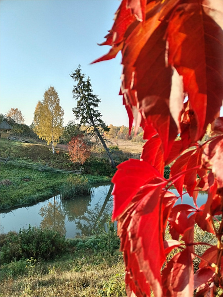 "Осенний пейзаж"