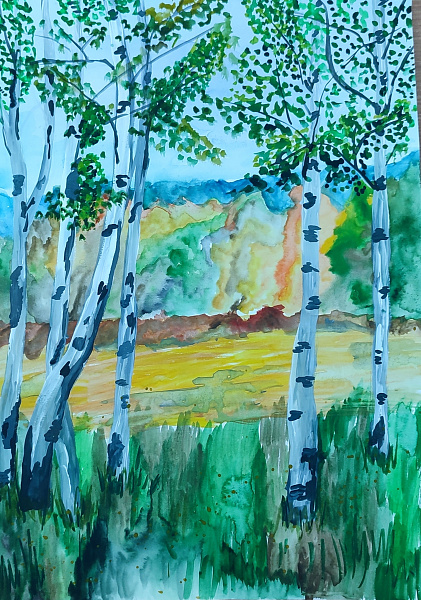 Белые берёзки