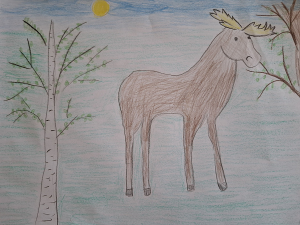 "Животные Пермского края"