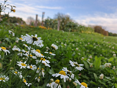 "Незабываемое лето в Суксуне"