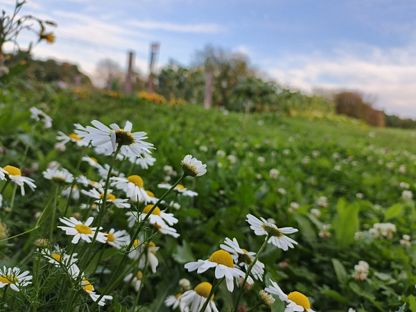 "Незабываемое лето в Суксуне"