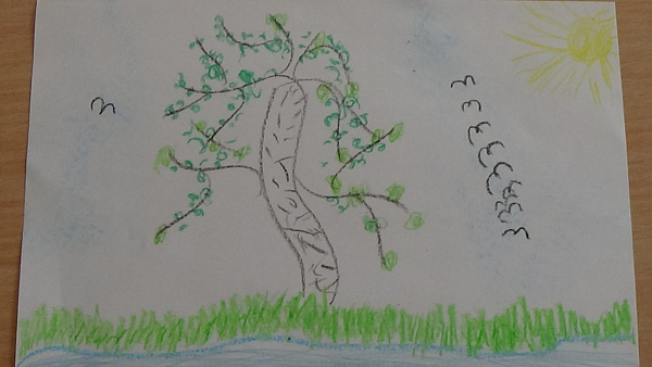 Вишерские берёзы