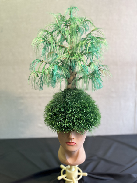 Берёза – символ Родины моей Берёзовки