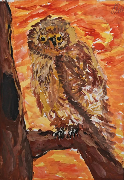 "Сова"