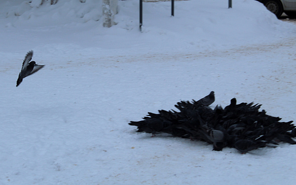 "Меня подождите!"