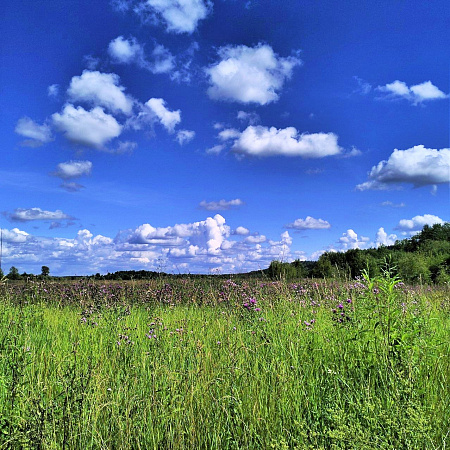 Там, где поле встречается с облаками