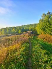 "Лысьвенский лес"