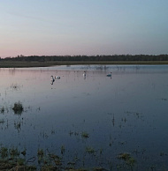 Дикий и далекий природный мир