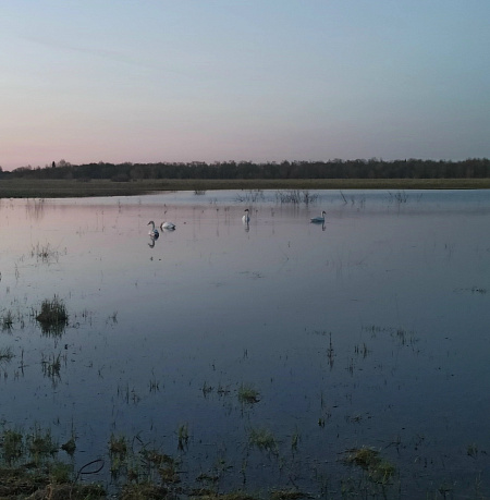 Дикий и далекий природный мир
