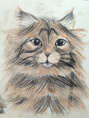 Кот Сеня