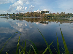 Радость мгновения