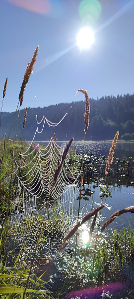 "Легче ветра, крепче стали"
