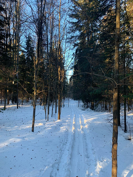 "Морозное настроение"