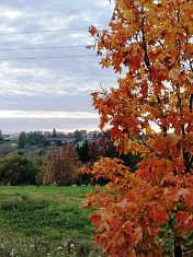 "Родной уголок"