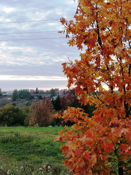 "Родной уголок"