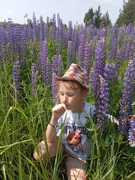 "Мой первый парад"