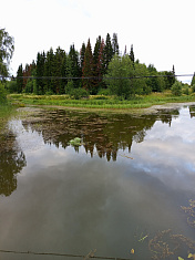 "Отражения"