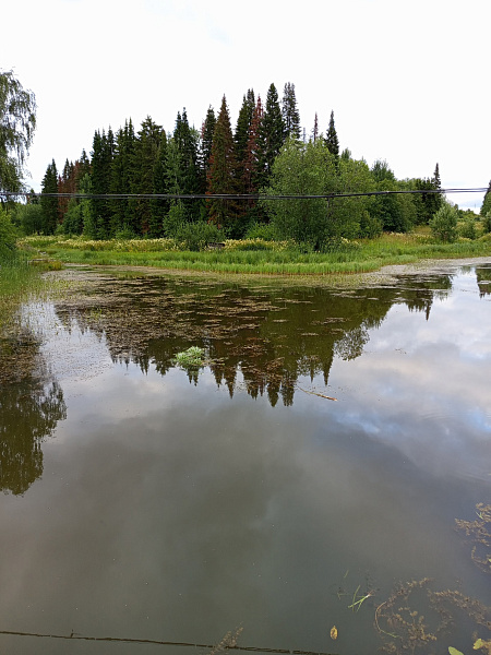 "Отражения"