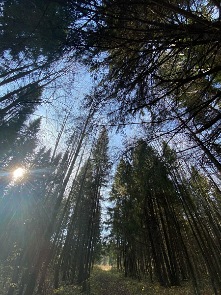 Хорошо в родном краю!