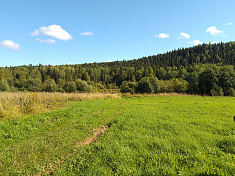 "Полюшко - поле"