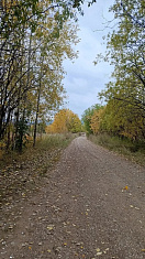 "Осеняя дорога"