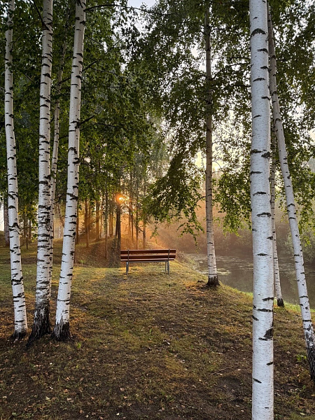 "Березоньки"